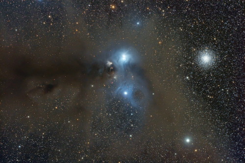 spacettf: Stars and Dust Across Corona Australis Image Credit &amp; Copyright: Ignacio Diaz Bobi