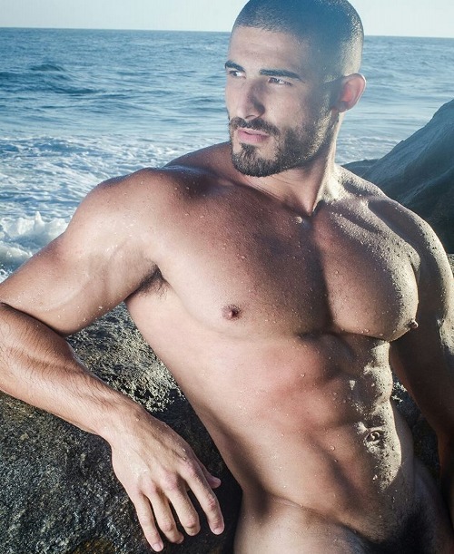    Paulo Wilker   
