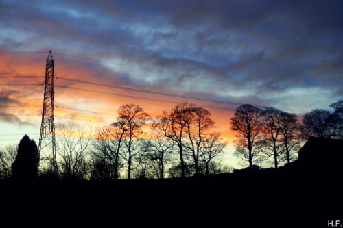 Sunset (taken A Few Weeks Ago).