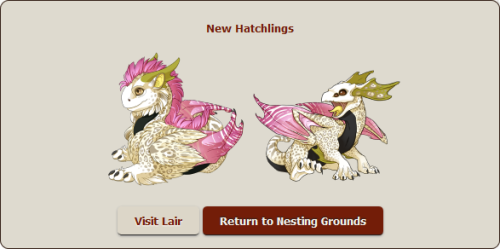 Alright so Stella and Raimond’s Gen 2 Valentine’s babies are here!The tun tun is a boy a