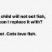 cat-memes-only: