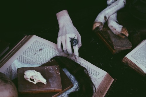 hapless-hollow:   Modeled by Kris Hatch  |  Photographed by Courtney Brooke Hall   |  Makeup by Steffanie Strazzere  http://www.burialground.org/ 