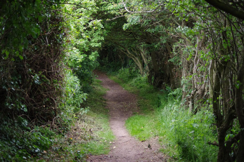 Creel Path in Coldingham, by me on Flickr.