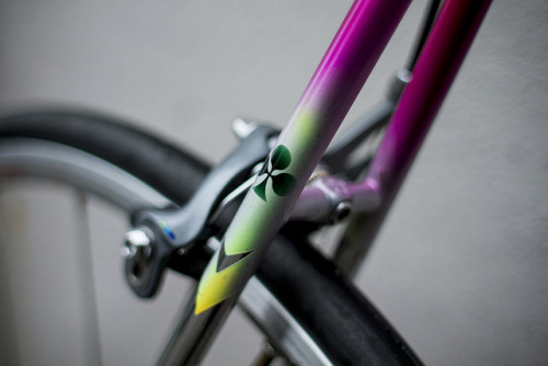 prkns:  Colnago Master Olympic DECOR - Pink by Thomas Rockstar on Flickr.