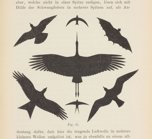 Otto Lilienthal – Scientist of the DayOtto Lilienthal, a German engineer, was born May 23, 1848.   r