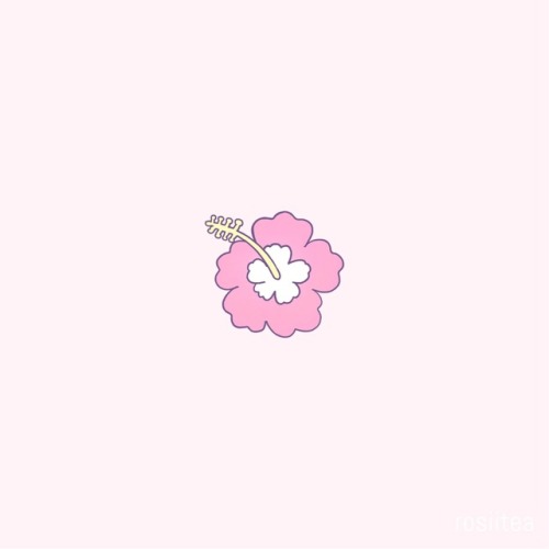 rosiitea:Flower