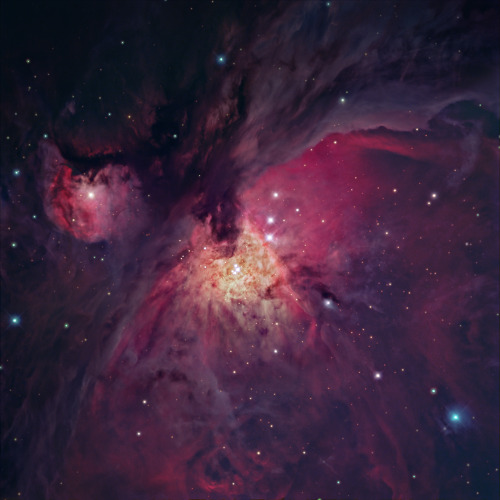 M42 - The Great Orion Nebula (Various Views)