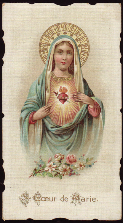 Novena Prayer to the Immaculate Heart of MaryO Most Blessed Mother, heart of love, heart of mercy, e