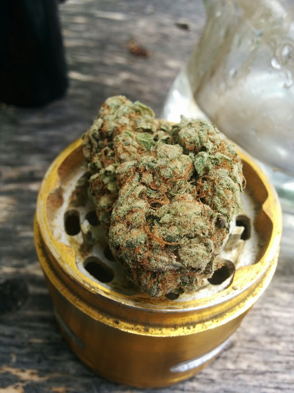 Mary/Molly