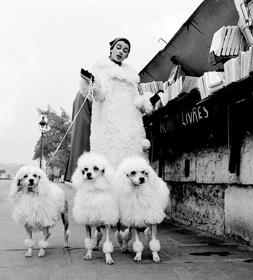 vintagegal:  Marie-Chantal chez les bouquinistes- Pierre Boulat, Paris, 1955 (via)