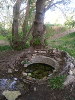 destroyed-and-abandoned:  An abandoned well