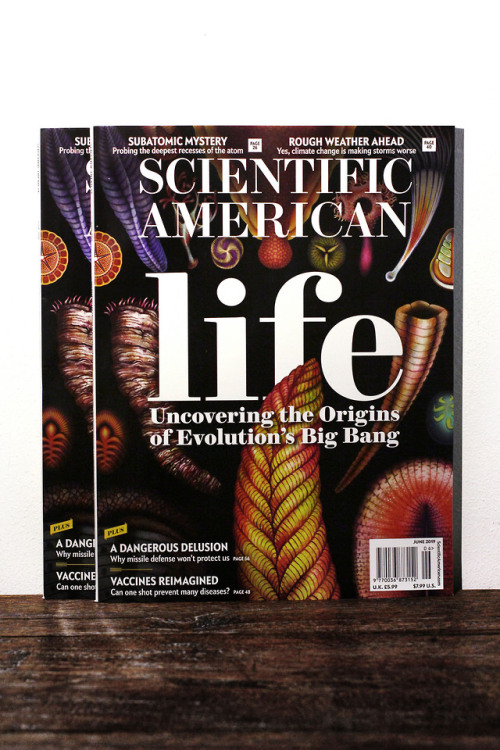 I’m E X C I T E D to announce that the June edition of Scientific American features my art on 