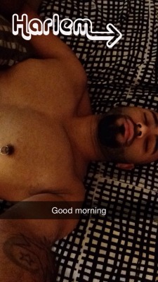 papafcknbear:  I woke up like this    🐻: