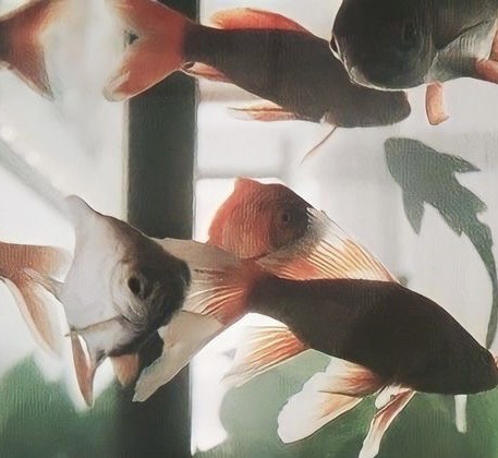 You Were Right Under My Nose