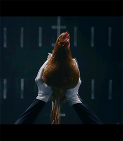 Sex headlikealamb:  chickens r 2 cool 4 u pictures