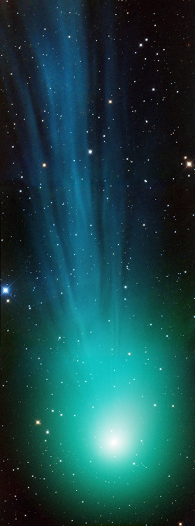 afro-dominicano:  Lovejoy’s Closeup - Adam Block/Mount Lemmon SkyCenter/University of Arizona