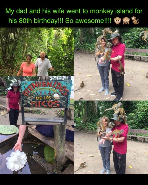 Happy birthday Dad!!!! 🙏🏻💚  #monkeyisland #isladelosmicos #amazon #birthday #dad #80yearsyoung  https://www.instagram.com/p/B8qgtI8lue1/?igshid=cqy784kzkdt9