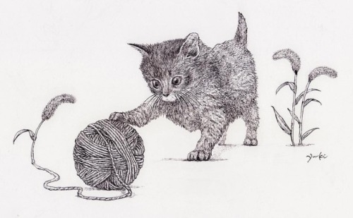 Cat Playful #cat #illustration #penart #practice #monotone #イラスト #猫 #ペン画 https://www.instagram.com/p