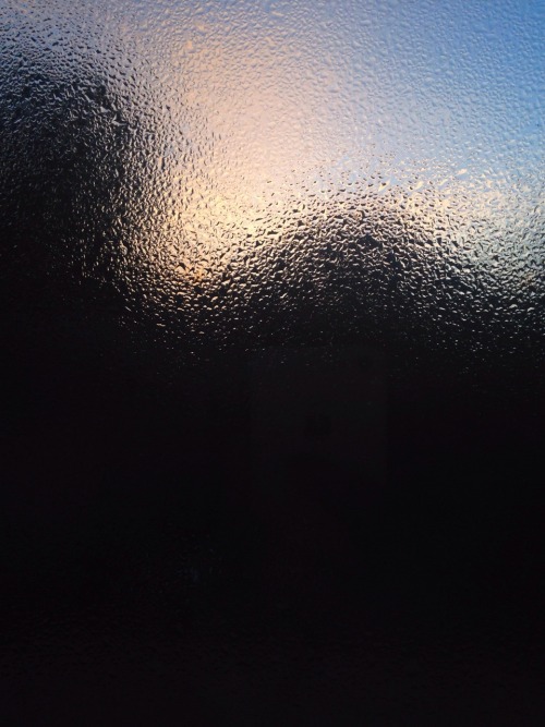 snailkiddo:  woke up early to a beautiful sunrise and dewy windows