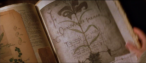 costumesinmovie:  Practical Magic (1998) Book of Magic Spells 