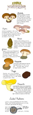 foodffs:  Fungus AmongusReally nice recipes.