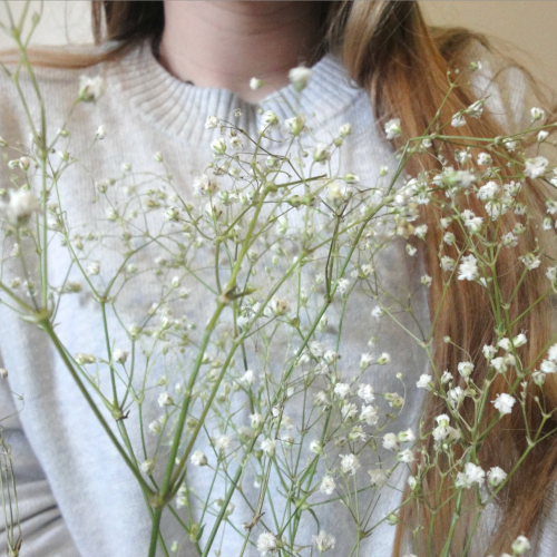 plantias:Baby’s breath and Monday mornings :*