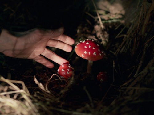 . Only Lovers Left Alive (2013) Dir. Jim Jarmusch.