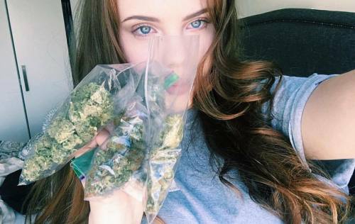 royal-weed-for-sale-online: weedculture420-blog: Show us that dank weed you got at the hashtag #420w