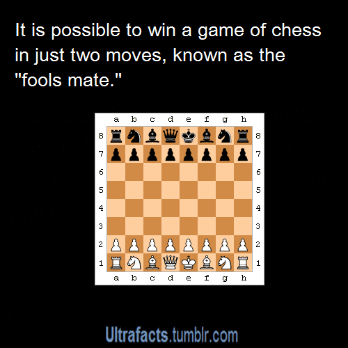 pizzaismylifepizzaisking:  ultrafacts:  (Fact Sources: 1 2 3) Follow Ultrafacts for