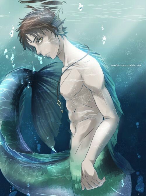 Featured image of post Ereri Aot Cute - Aufrufe 24 tsd.vor 6 monate.
