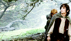 arrgorns: It’s like in the great stories, Mr. Frodo. The ones that really mattered.