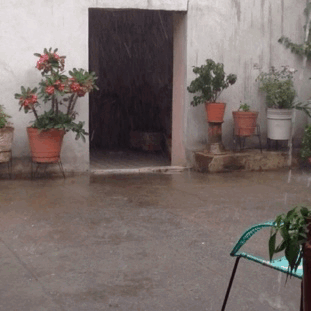 joaquinguzmanloeraa:  suenosmios:  Lluvia en México ❤️   I can smell this gif