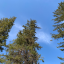 halsworldsworld