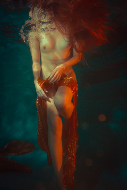 openbooks: Nightswimmer.  September 2012.