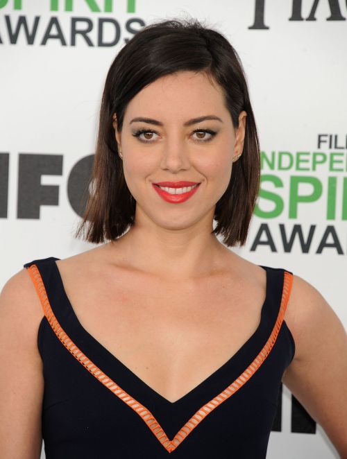 bodysofwork:Aubrey Plaza at the 2014 Film Independent Spirit Awards (HQ!).