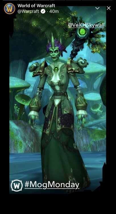 My fungal Forsaken priest, Morella, was featured on Warcraft’s first #MogMonday. Honored at all the 