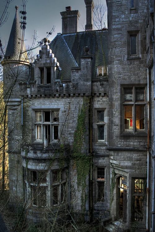 clavicle-moundshroud:  Abandoned castle in Ireland. 