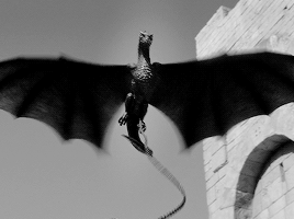 daenerystargaryen:  For dragons are fire made flesh, and fire is power.  