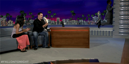 fallontonight:  Jeff Musial loves using animals to scare Jimmy in new ways…