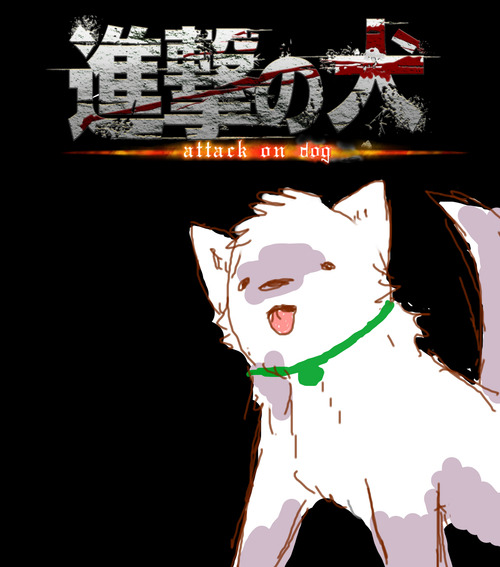 mikasasinbox:           Probably happy.