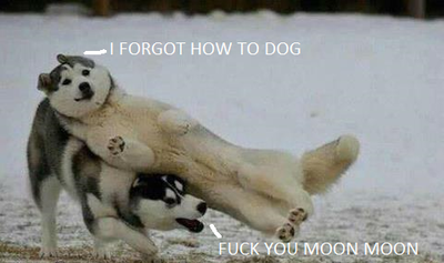 hey bitches