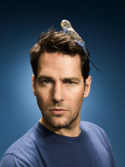 (via paulrudd) i was just talking about painting one of them birds.