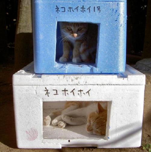 highlandvalley:  yaruo:  yukko:   778:   fatherion:   ak47:   killerbeach:   hitode909:  25991.jpg     (via chobinyan)