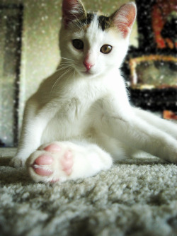 j-p-g:  Here’s My Foot. Wanna Kiss! (via Crystal )