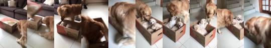 everythingfox:(via)