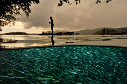 maluna: jingc: National Geographic Photography