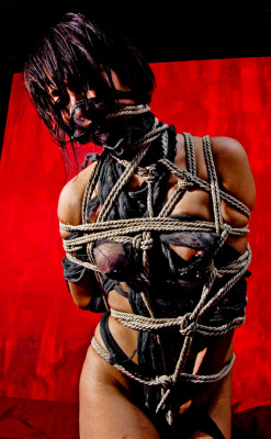 bondagestyle:  bdsm:  Lots of rope. Asymetric