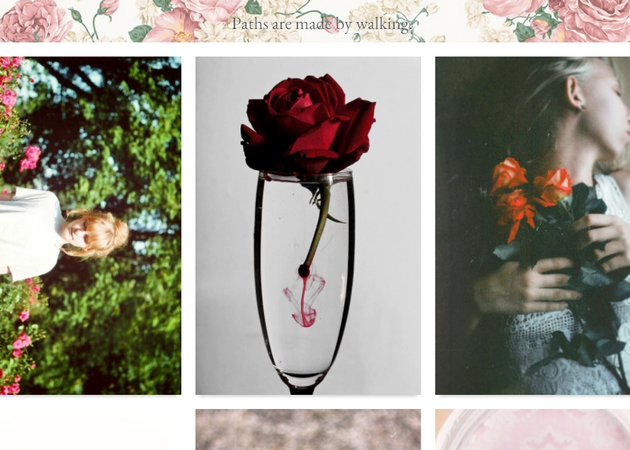 Roses | Tumblr