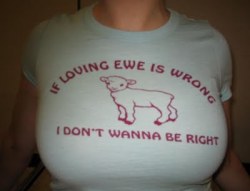 smoothieluv:  If Loving Ewe Is Wrong   can I love ewe,nice looking wooly jumper