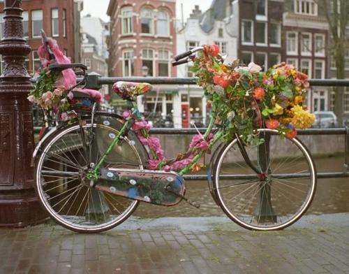 (via sore-thumbelina)